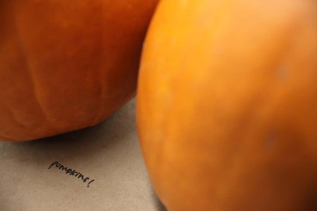 The word pumpkin written on construction paper